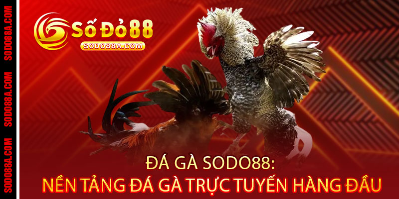 Đá Gà Sodo88 - Cược chất, thắng đậm, xem đã - Một chạm rinh tiền triệu - BAVOR.LOVE Đá Gà Sodo88 - Cược chất, thắng đậm, xem đã - Một chạm rinh tiền triệu - BAVOR.LOVE