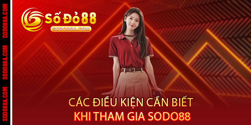 Điều khoản Sodo88 - Rõ ràng từng chữ, công bằng từng giao dịch - BAVOR.LOVE
