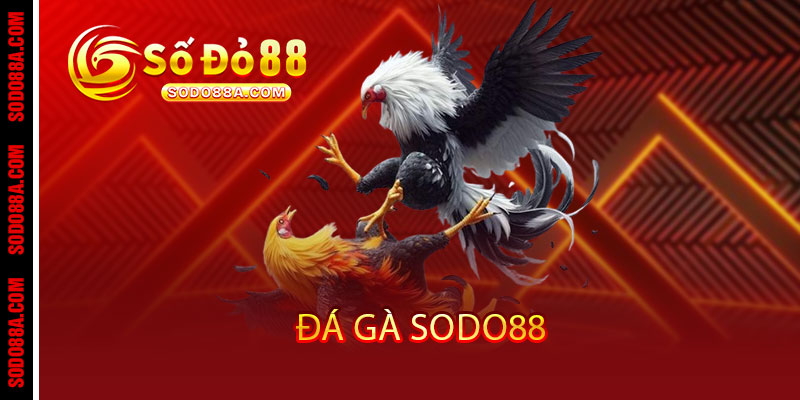 Đá Gà Sodo88 - Cược chất, thắng đậm, xem đã - Một chạm rinh tiền triệu - BAVOR.LOVE Đá Gà Sodo88 - Cược chất, thắng đậm, xem đã - Một chạm rinh tiền triệu - BAVOR.LOVE