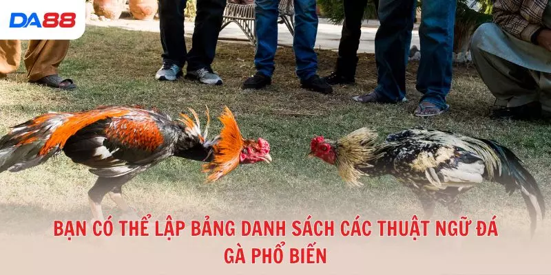 Từ A đến Z các thuật ngữ đá gà phổ biến trong sới gà hiện nay 2026 - BAVOR.LOVE
