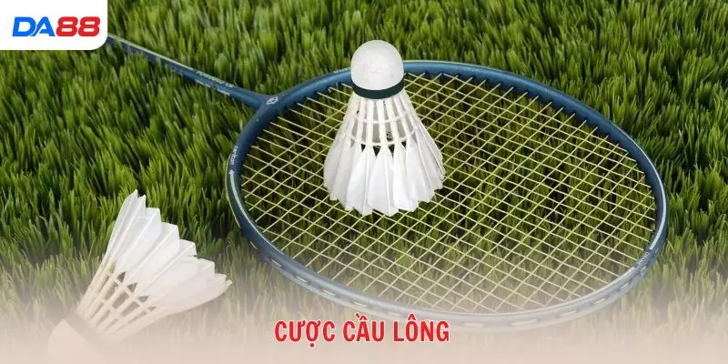 Top chiến thuật giúp bạn luôn lợi thế khi cược cầu lông 2026 - BAVOR.LOVE