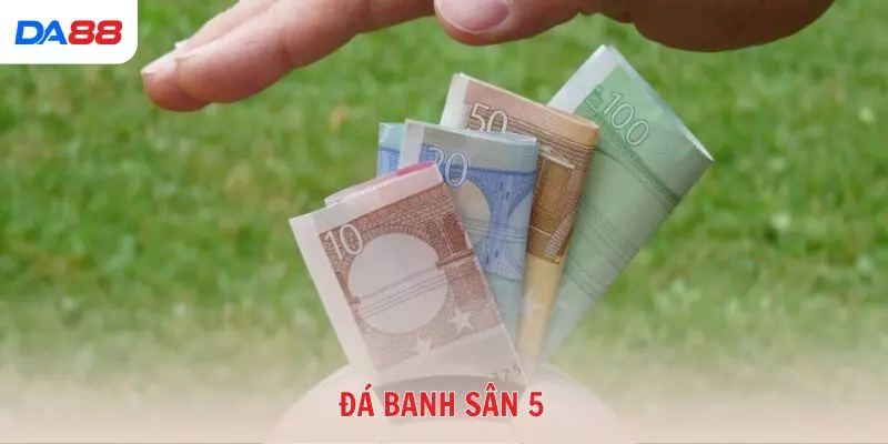 Top 5 chiến thuật cược đá banh sân 5 cho người mới dễ áp dụng - BAVOR.LOVE
