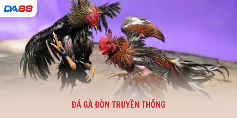 Đá gà đòn truyền thống: Bí quyết để đánh giá chiến kê và chiến thắng 2026 - BAVOR.LOVE