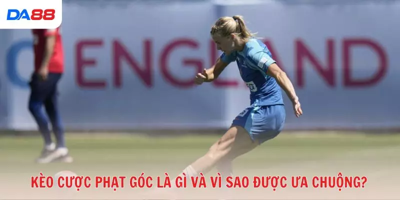 Kèo cược phạt góc có thật sự dễ thắng? Lý giải từ chuyên gia 2026 - BAVOR.LOVE