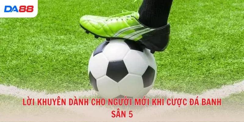 Top 5 chiến thuật cược đá banh sân 5 cho người mới dễ áp dụng - BAVOR.LOVE