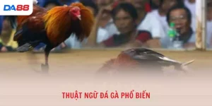 Kinh nghiệm - DA88 - BAVOR.LOVE
